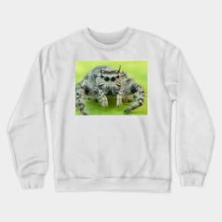 Jumping spider Crewneck Sweatshirt